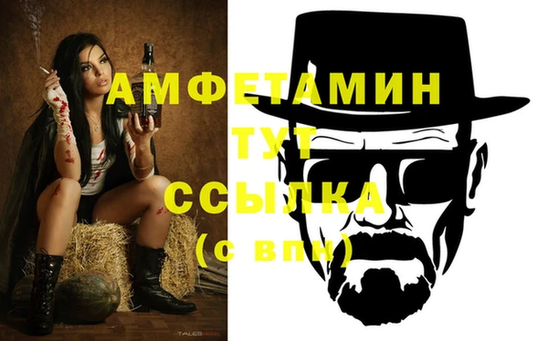 гидра Краснослободск