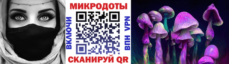 это Telegram  omg зеркало  Лысьва  Псилоцибиновые грибы мицелий 